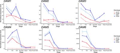 Distinctive Gene Expression Patterns Define Endodormancy to Ecodormancy Transition in Apricot and Peach